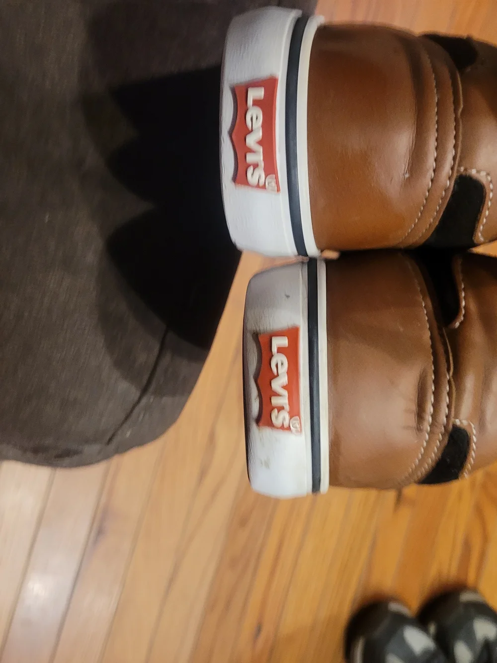 Levi's Black Canvas & Brown Accent Men's Slip-On Sneakers